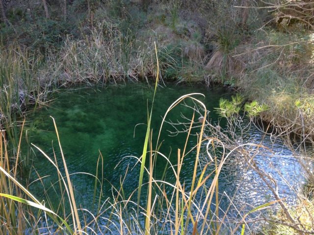 Conservación de la fauna en la Poza de las Tortugas de Moratalla